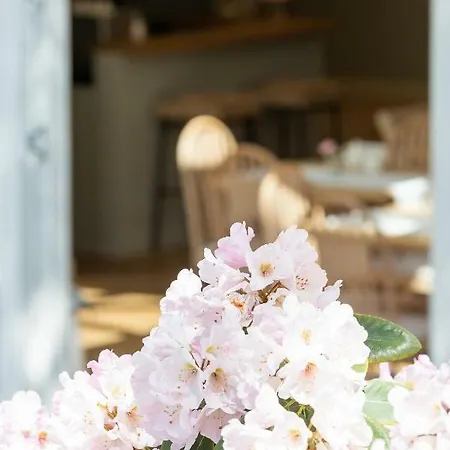 Villa Sedina Frühstückspension 3*