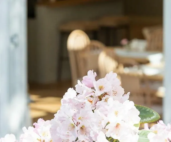 Villa Sedina Bed & Breakfast 4*