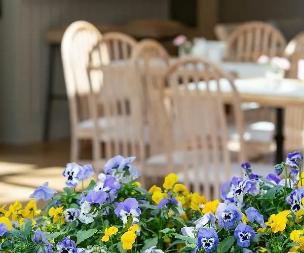 Villa Sedina 4* Rewal